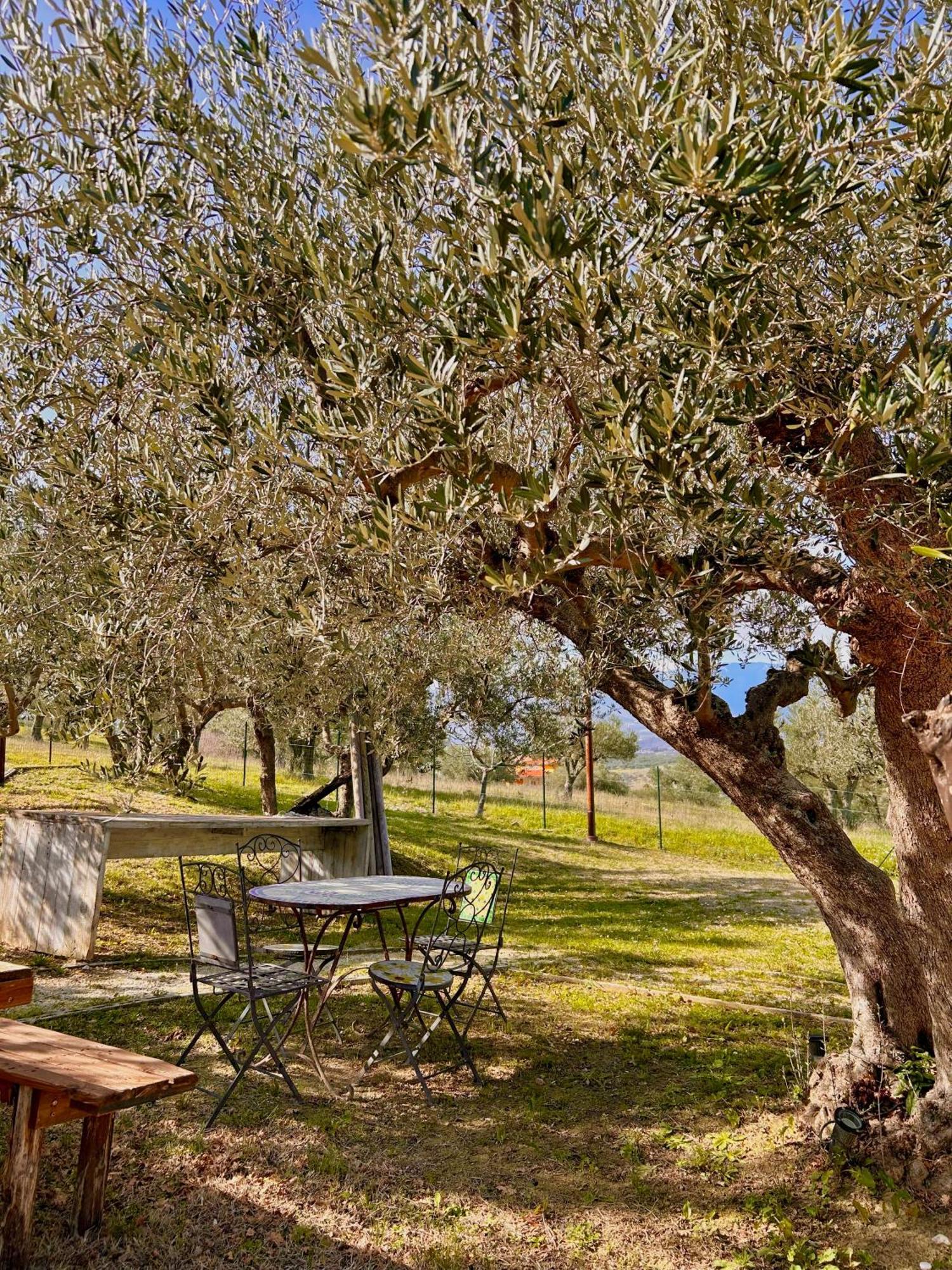 Oasi Macerina Villa Alanno Exterior photo