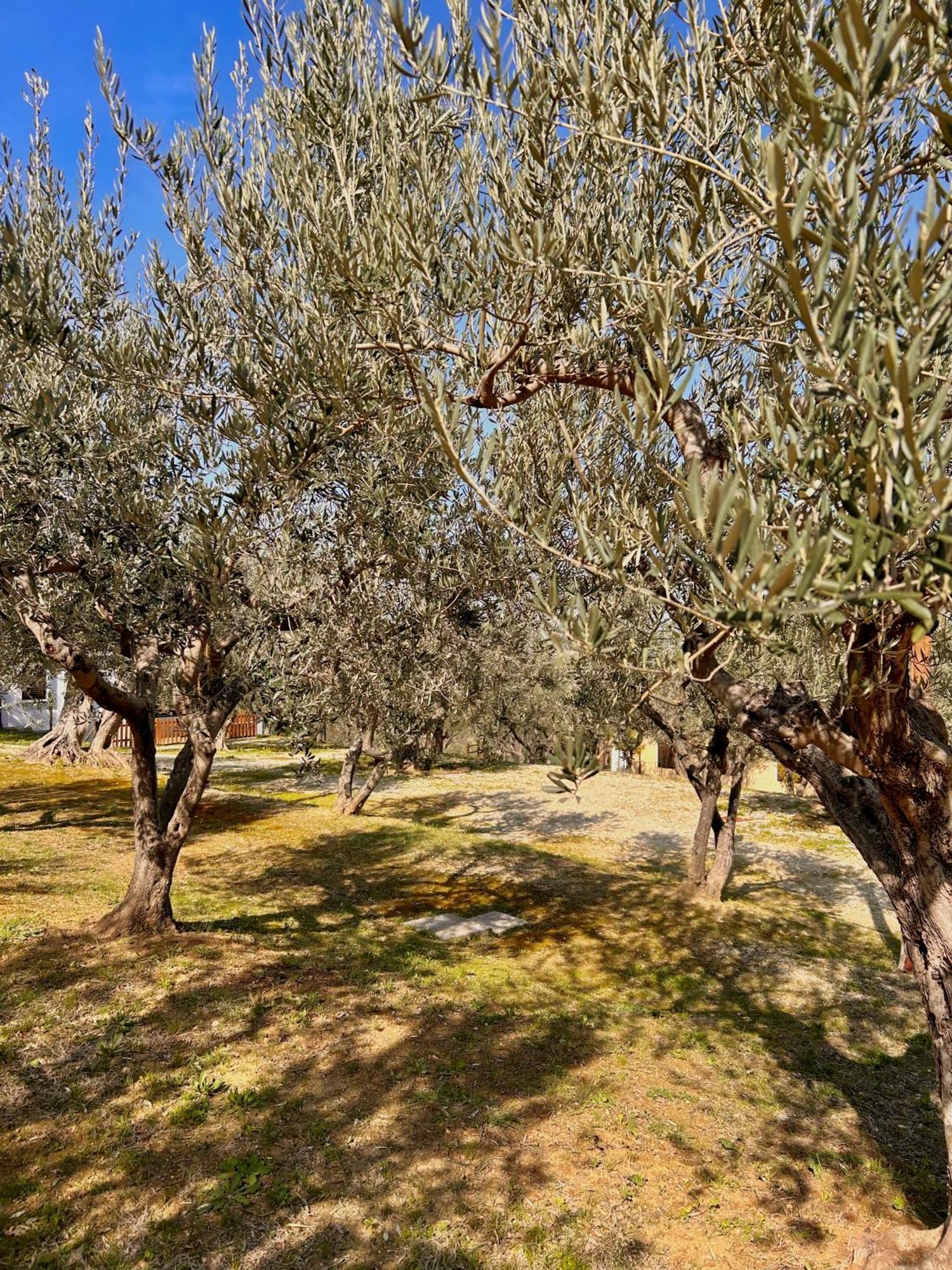Oasi Macerina Villa Alanno Exterior photo