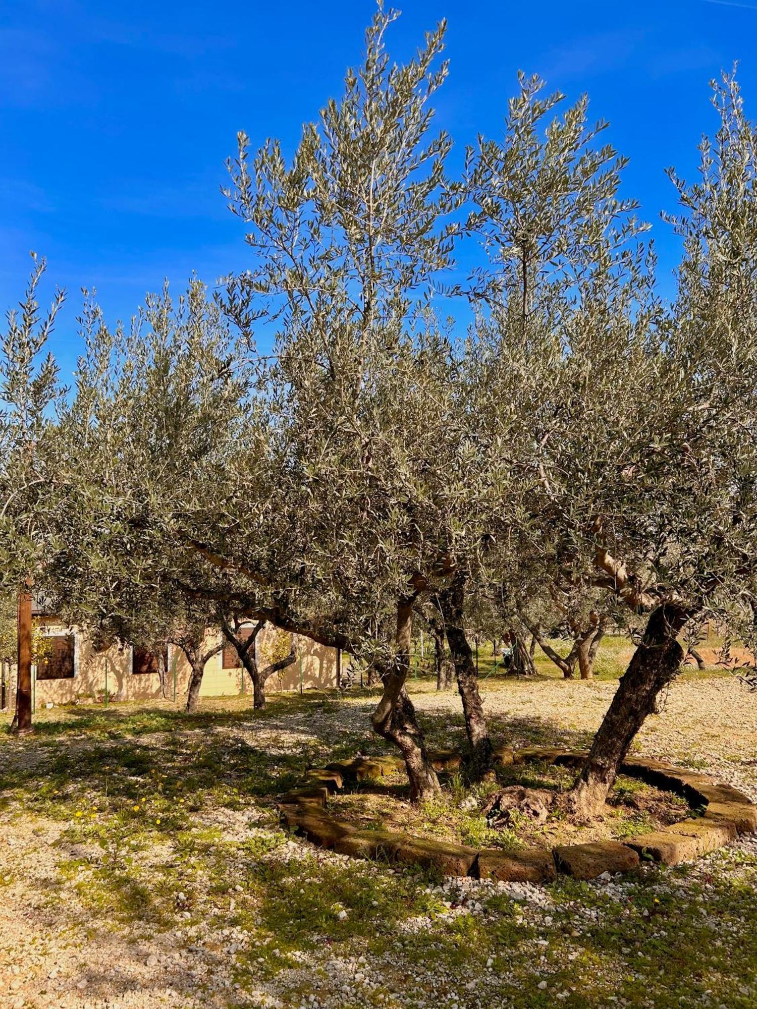 Oasi Macerina Villa Alanno Exterior photo
