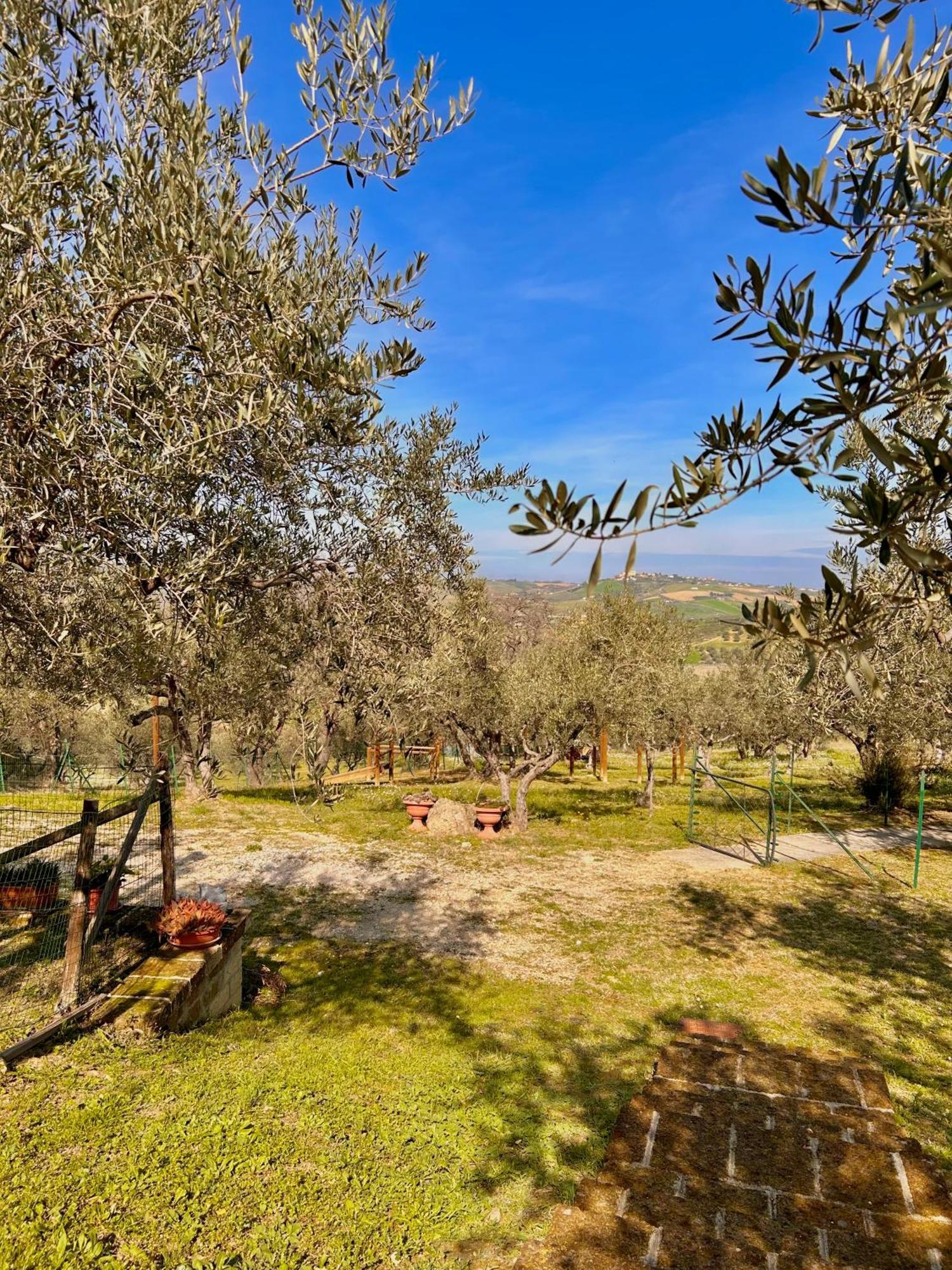 Oasi Macerina Villa Alanno Exterior photo